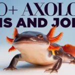 Axolotl Puns and Jokes
