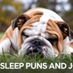 Sleep Puns and Jokes